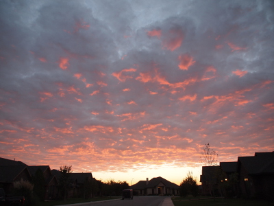 [I stood at one end of the street and looked toward the sunrise end where I viewed an expanse of white just above the house at the end of the street. The entire sky was completely covered with clouds. The lowest portion of the undersides of the clouds are pink while the rest is shades of blue-grey. The density of pink increases the further the clouds are from the camera.]
